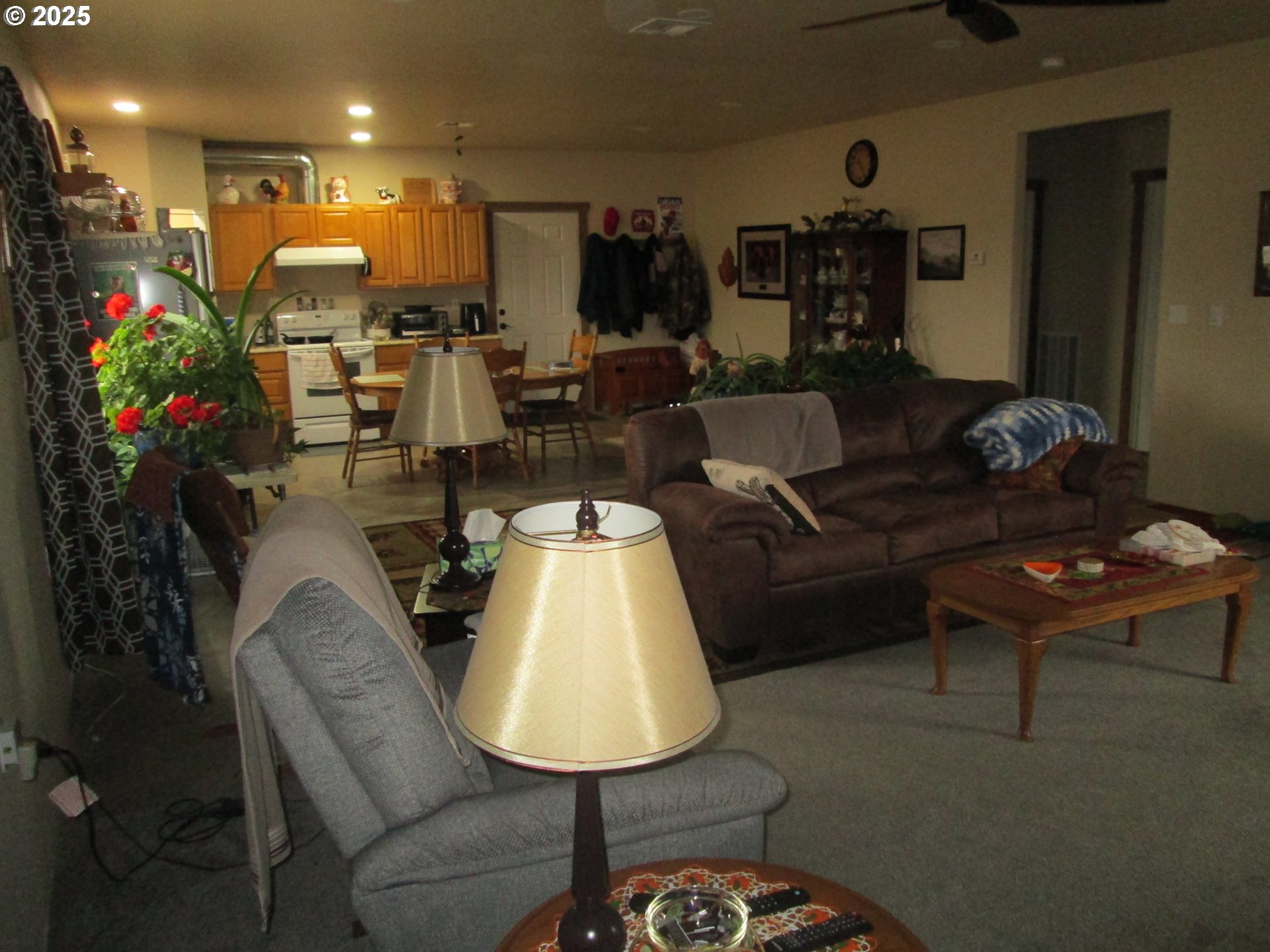404 Pendleton Avenue Ukiah, OR 97880 - Photo 6 of 12 a living room with furniture and a potted plant