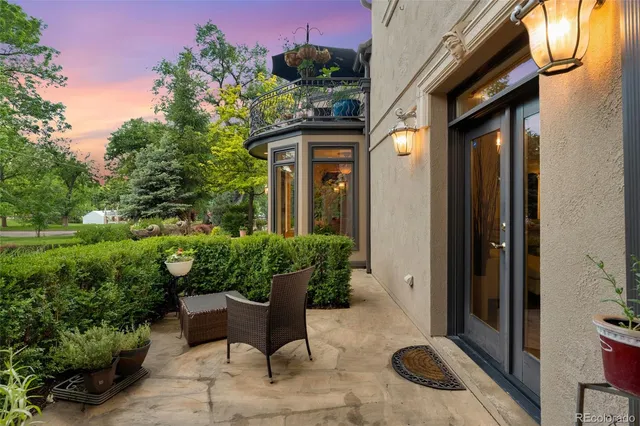 view of a flower in a garden