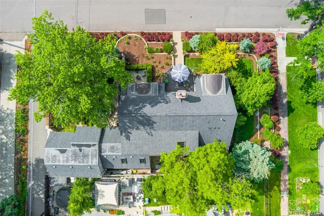 a view of a lush green field with lots of flower plants