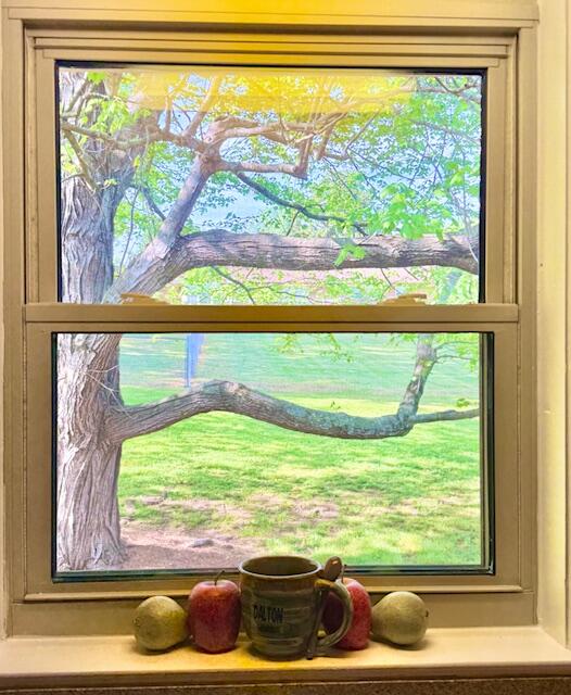 604 Foster Road Dalton, GA 30720 - Photo 14 of 47 Kitchen Window