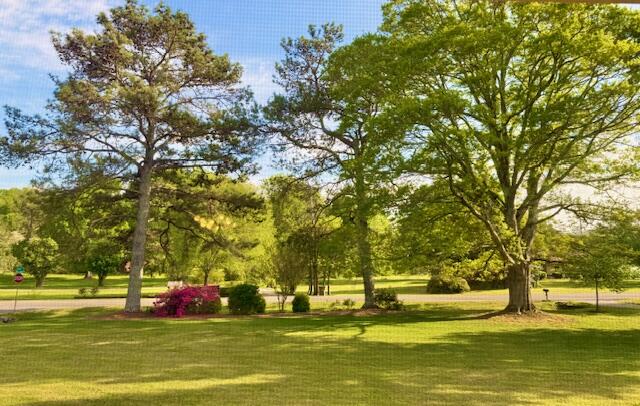 604 Foster Road Dalton, GA 30720 - Photo 45 of 47 Landscape View