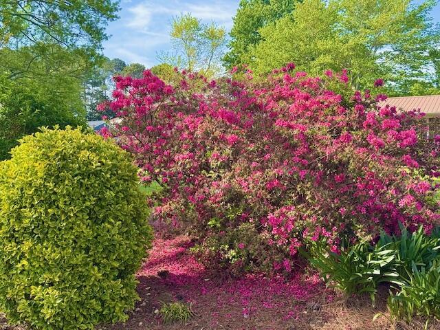 604 Foster Road Dalton, GA 30720 - Photo 6 of 47 Front Landscape