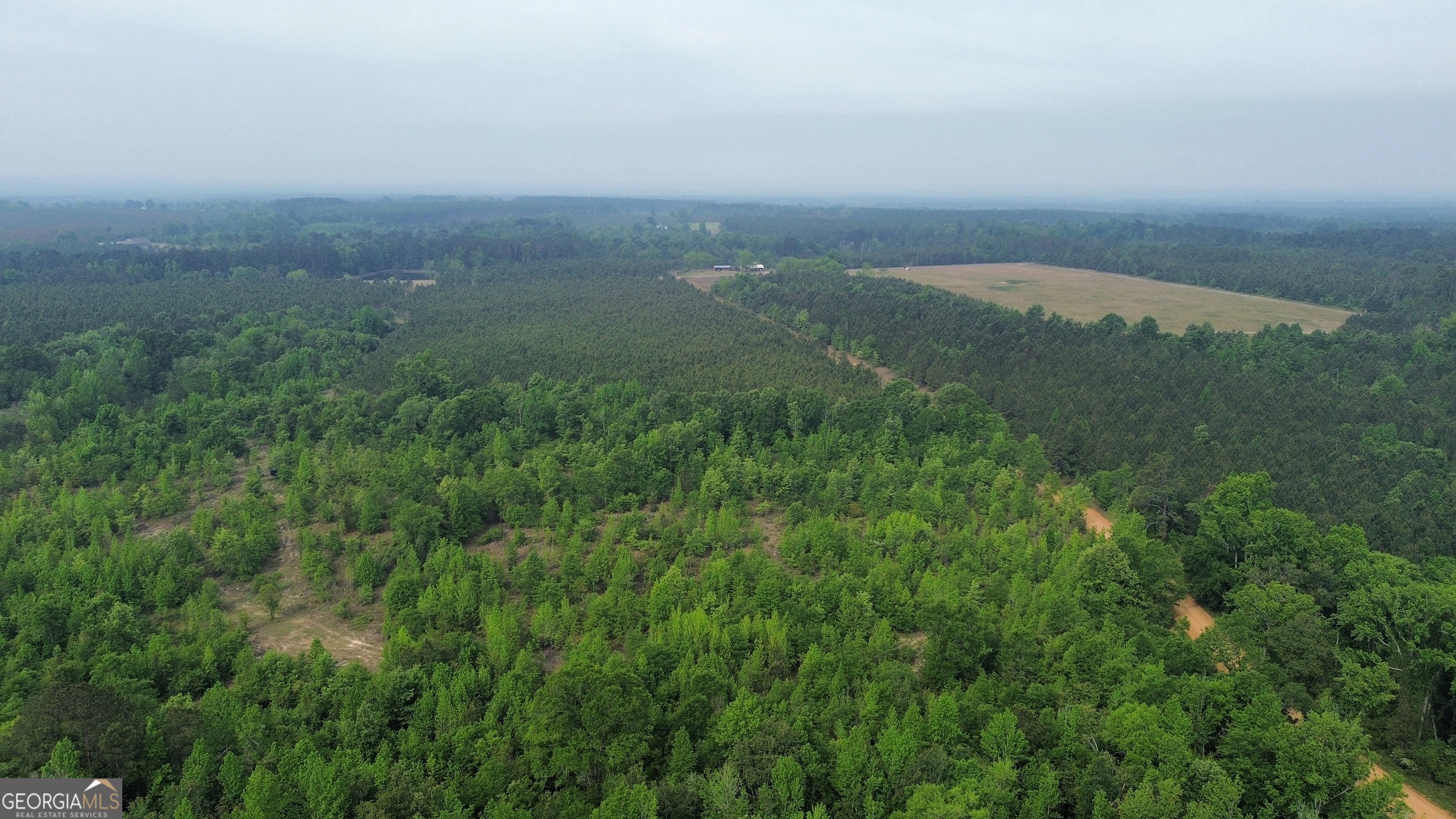 0 Oscar Beacham Road Rockledge, GA 30454 - Photo 3 of 7