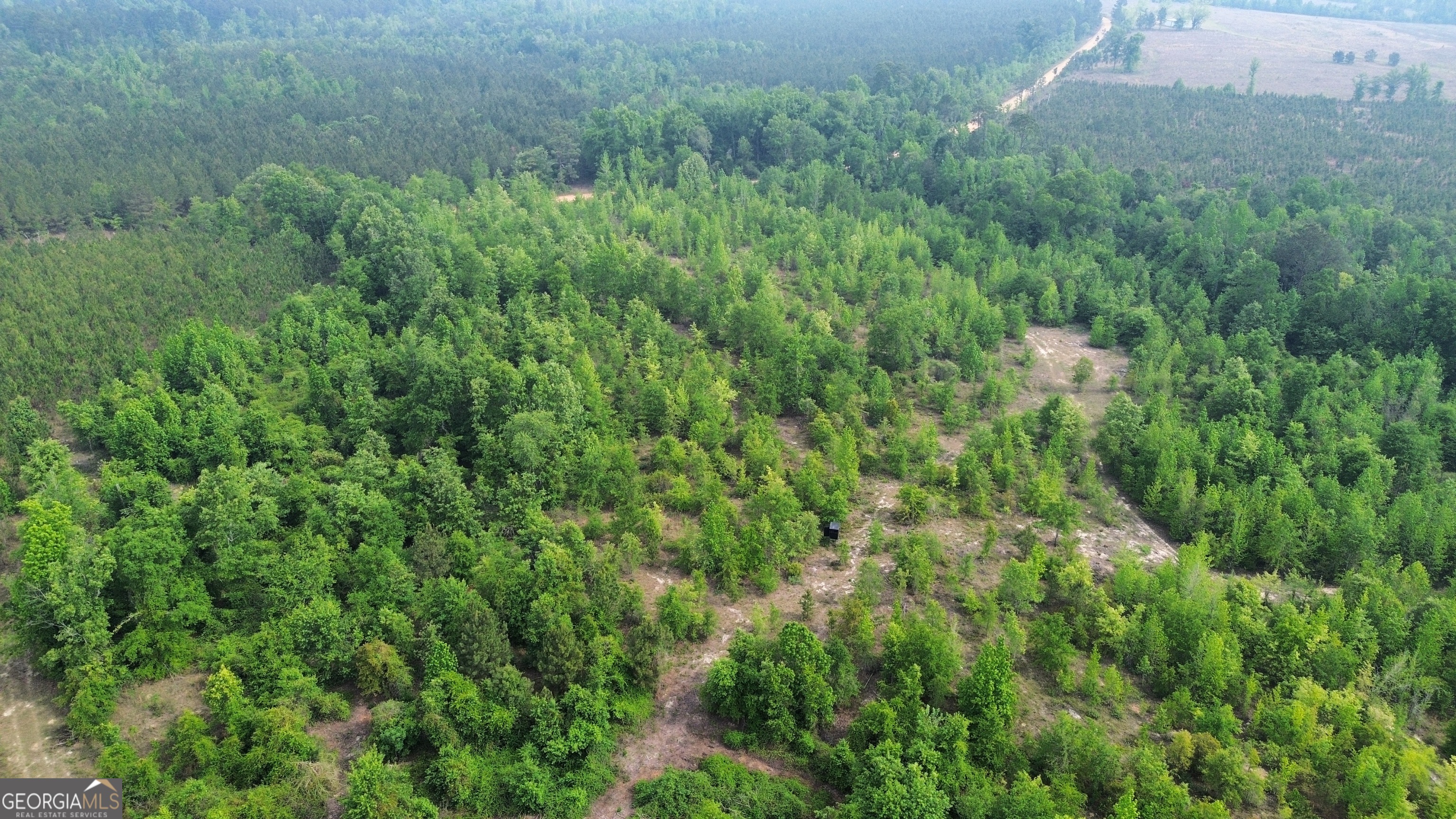 0 Oscar Beacham Road Rockledge, GA 30454 - Photo 4 of 7