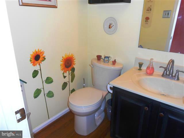 3810 Misty Hollow Point of Rocks, MD 21777 - Photo 12 of 29 a bathroom with a sink toilet and a mirror