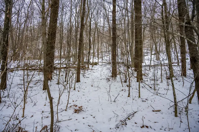 $300,000 | 29431 Maxwell Hill Road, Cazenovia, WI 53924