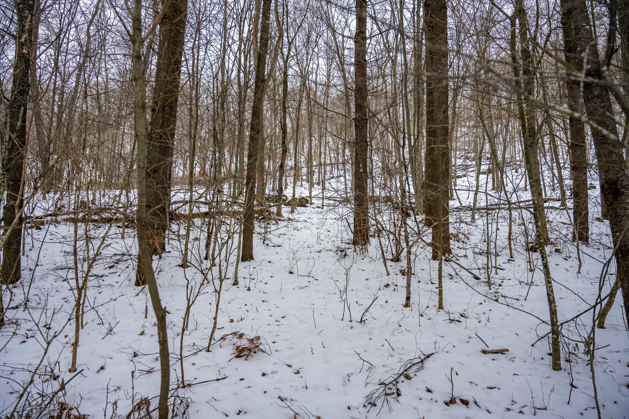 29431 Maxwell Hill Road Cazenovia, WI 53924 - Photo 26 of 47