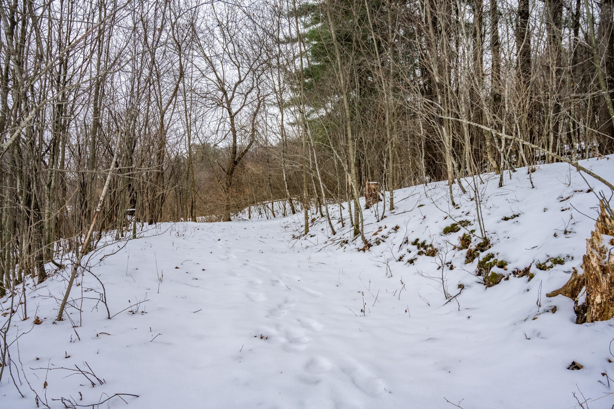 29431 Maxwell Hill Road Cazenovia, WI 53924 - Photo 28 of 47