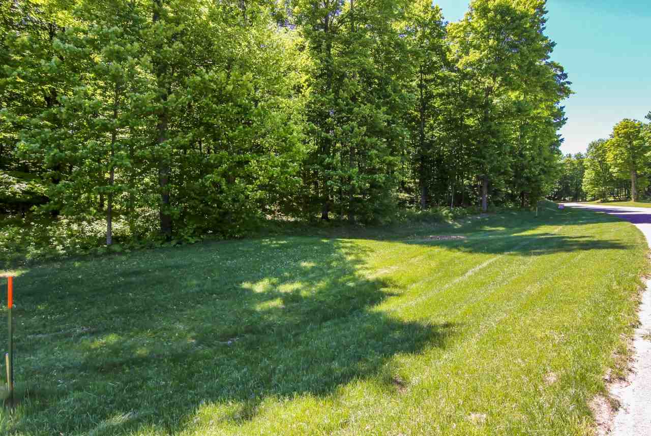 1 Heather Ridge Trail Beulah, MI 49617 - Photo 3 of 9