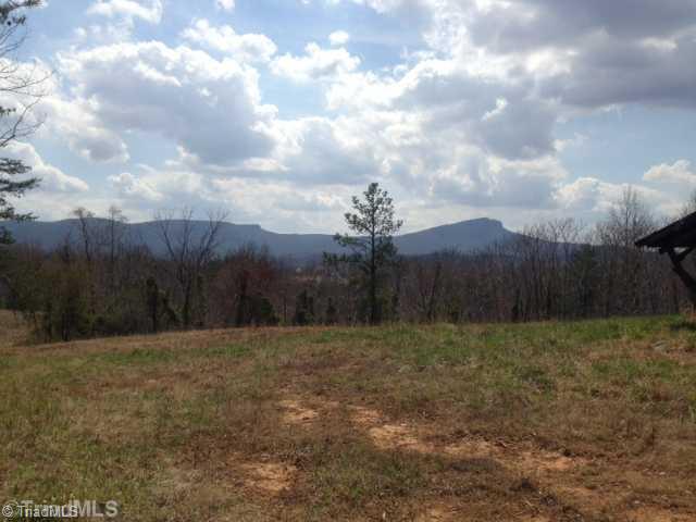 Tbd Wess Hall Road Danbury, NC 27016 - Photo 8 of 14 View.