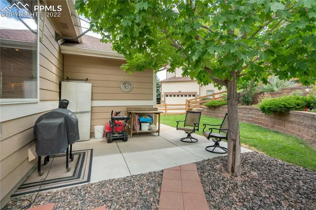 a view of a patio with couple of chairs and a potted plant