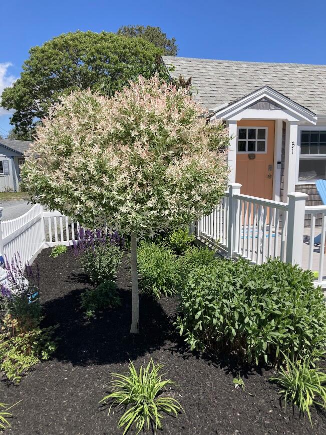 248 Old Wharf Road, Unit B1 Dennis Port, MA 02639 - Photo 6 of 41 IMG_1827_2a8606ce-e92d-45ab-867a-8e85a09