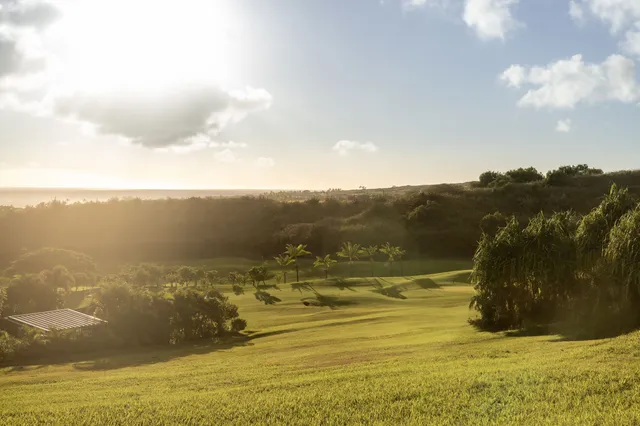 $2,395,000 | Lot G Holo Malanai Place, Koloa, HI 96756