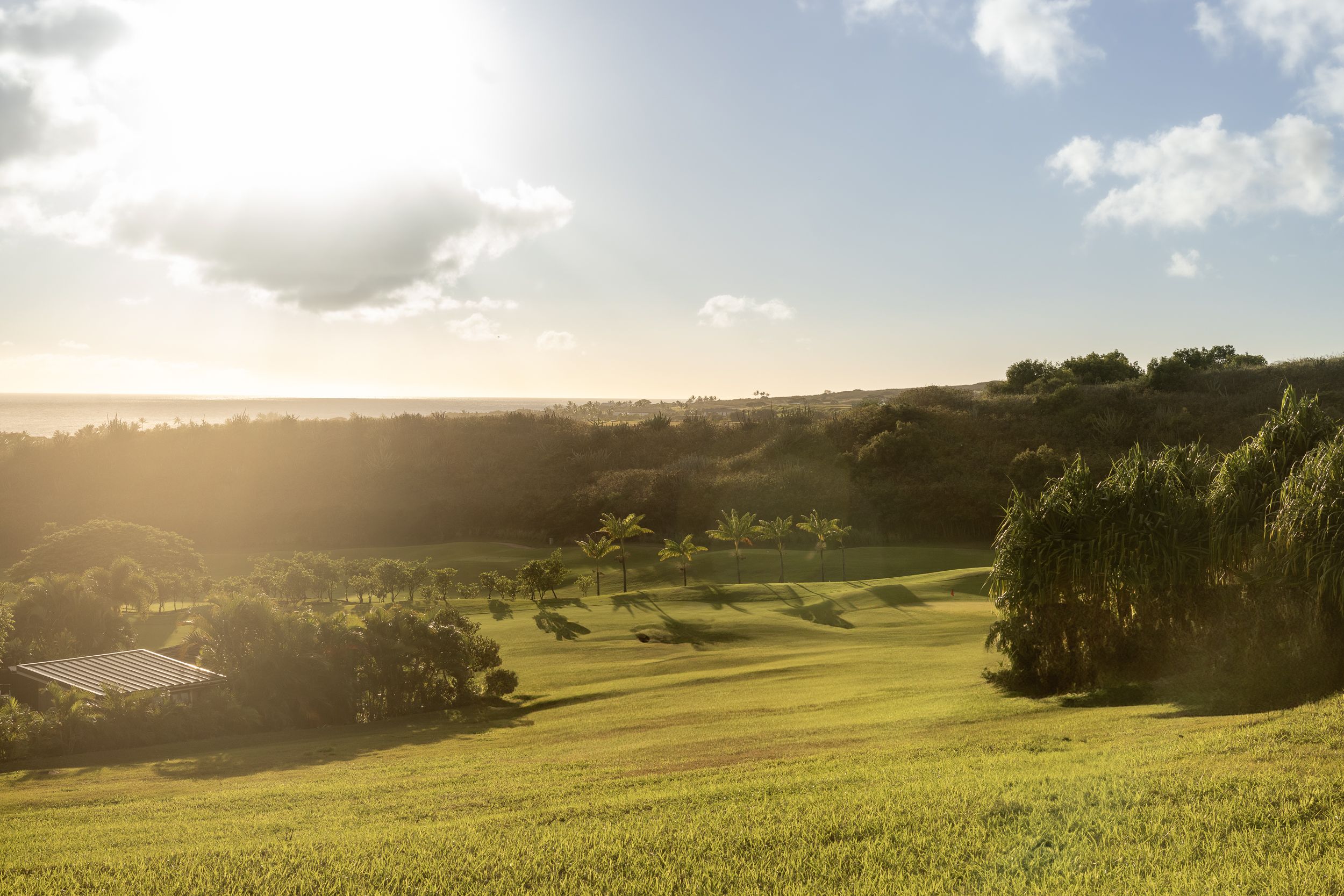 Lot G Holo Malanai Place Koloa, HI 96756 - Photo 5 of 13