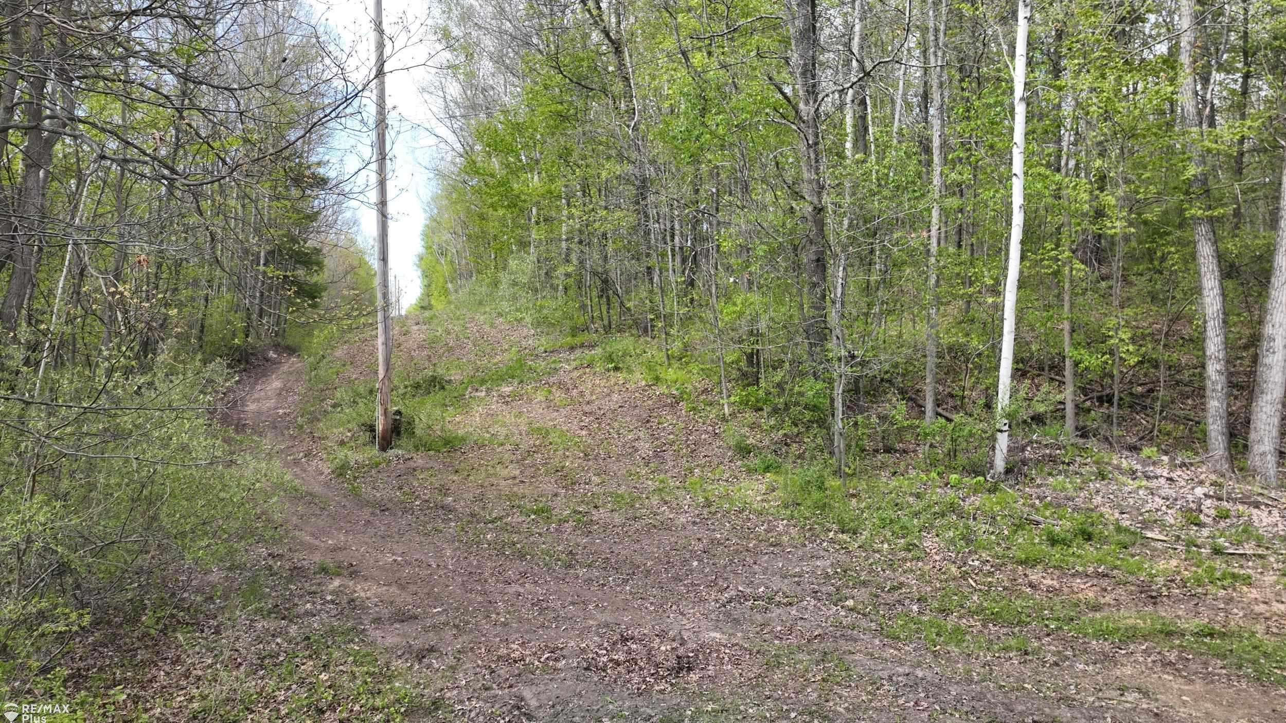 0 Miller Lake Road Columbiaville, MI 48421 - Photo 12 of 33