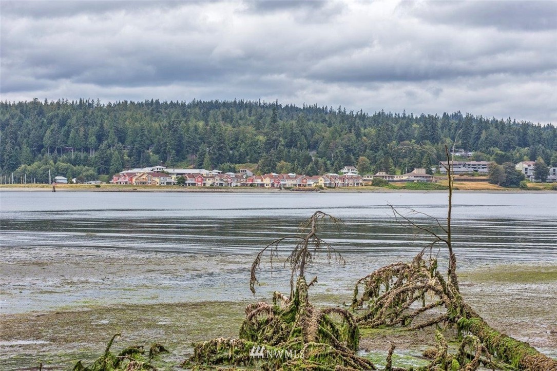 961 Ludlow Bay Road Port Ludlow, WA 98365 - Photo 6 of 24 Gallery Image 6