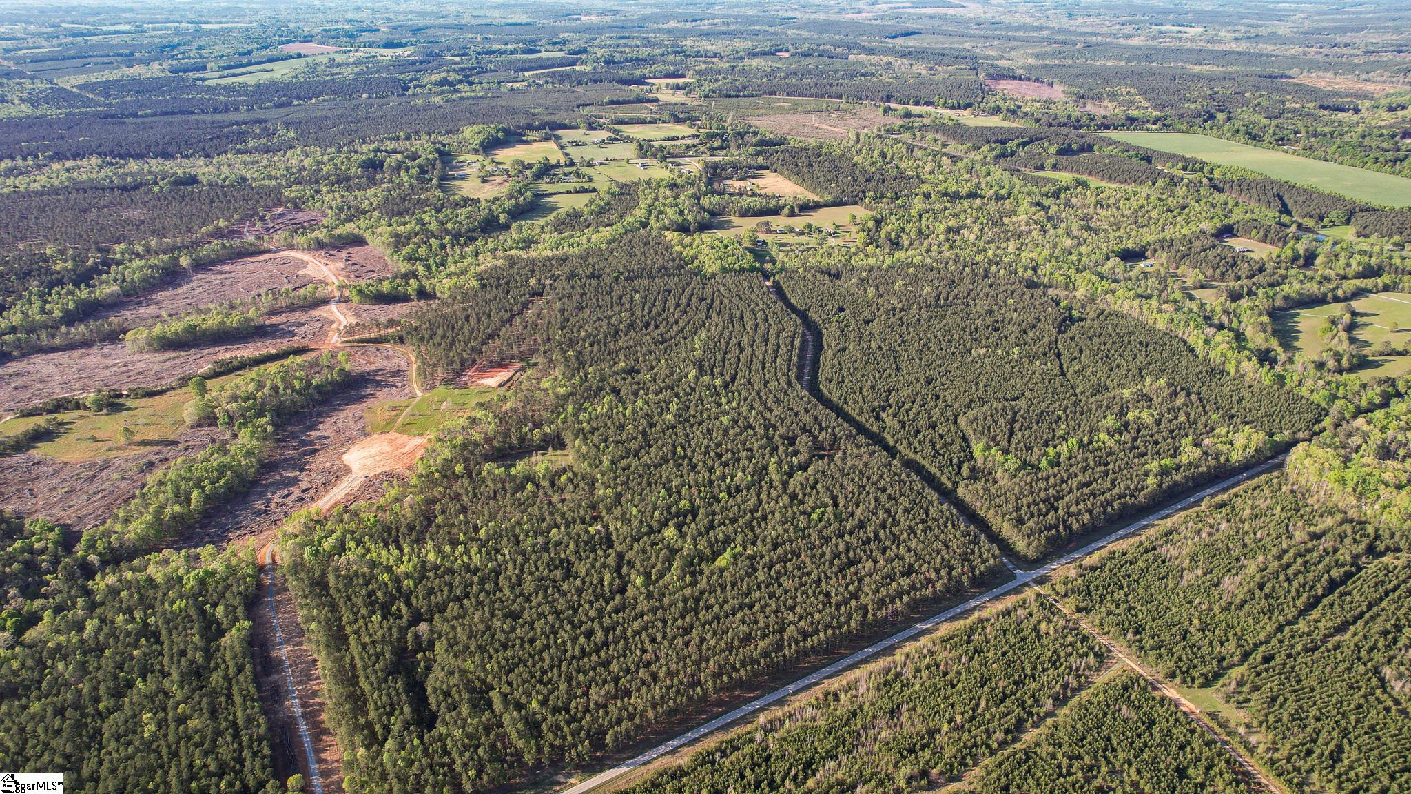 13 Garlington Road Cross Hill, SC 29332 - Photo 3 of 20 Gallery Image 3
