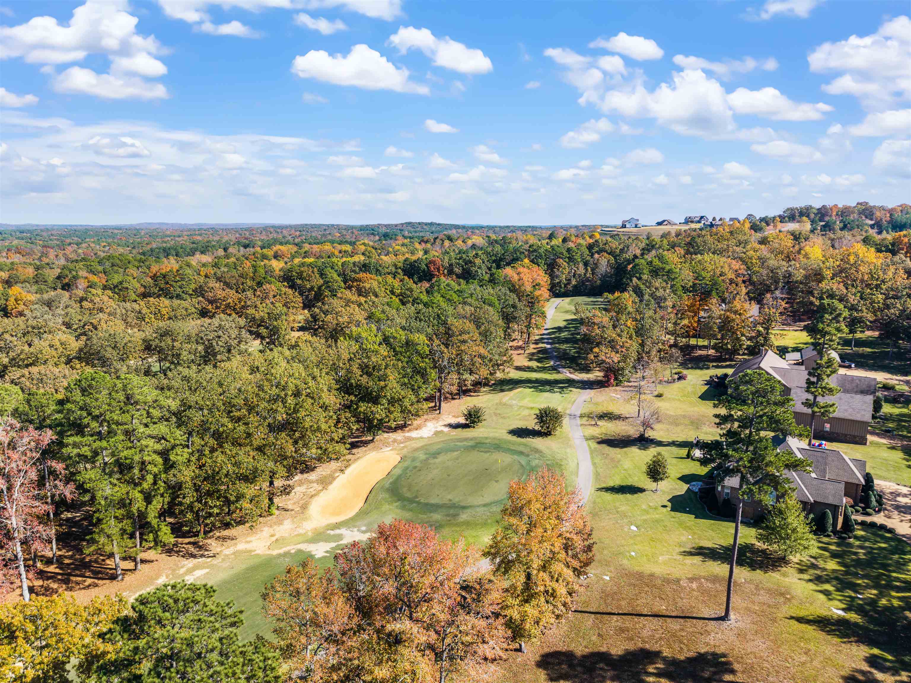 140 Legends Drive Counce, TN 38326 - Photo 5 of 30 Bird's eye view of a local golf course and a tree filled landscape