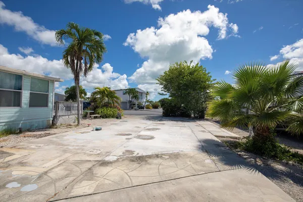 a palm tree sitting in front of a house