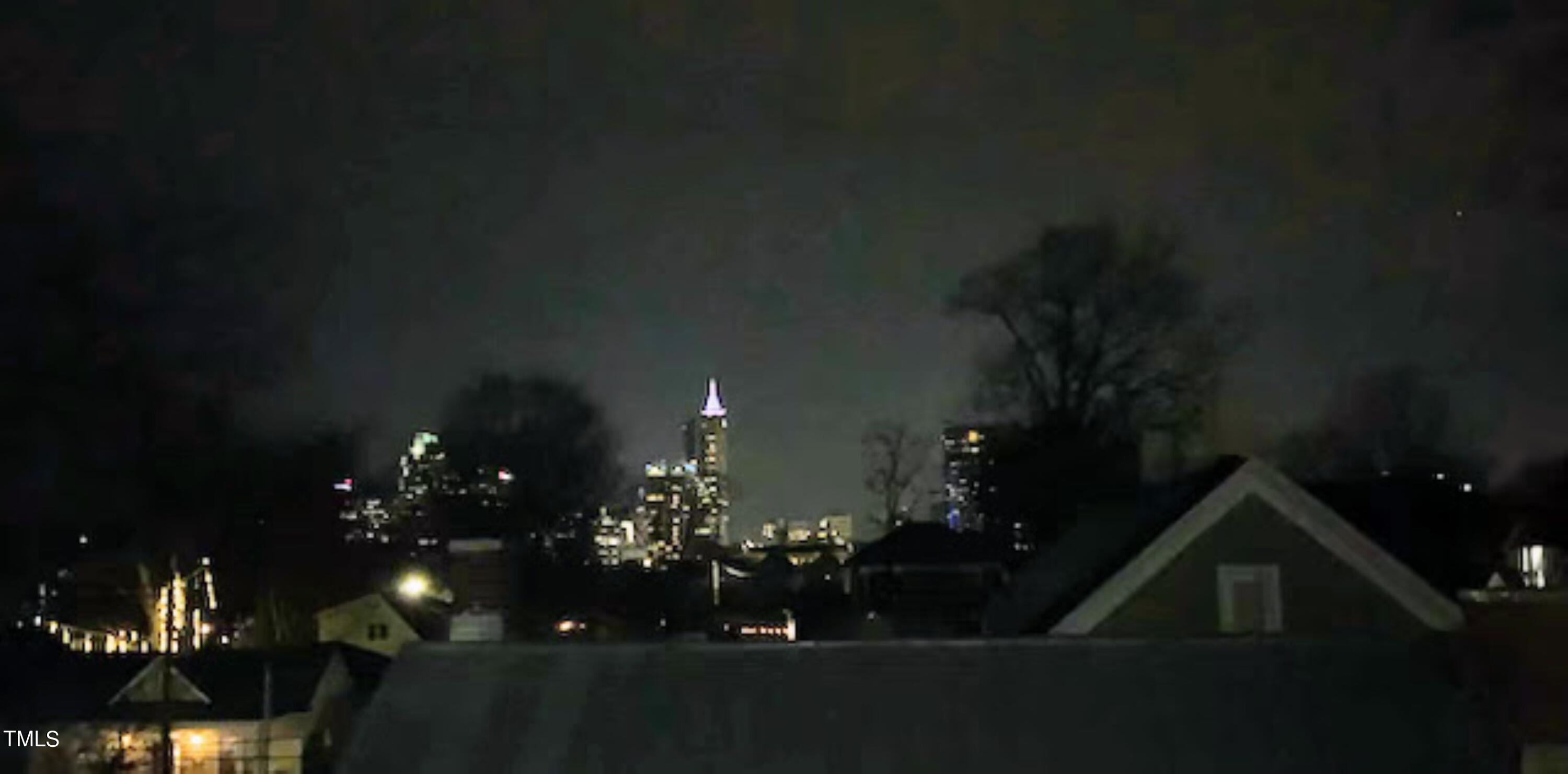 706 East Hargett Street Raleigh, NC 27601 - Photo 35 of 35 a view of a house and yard in back