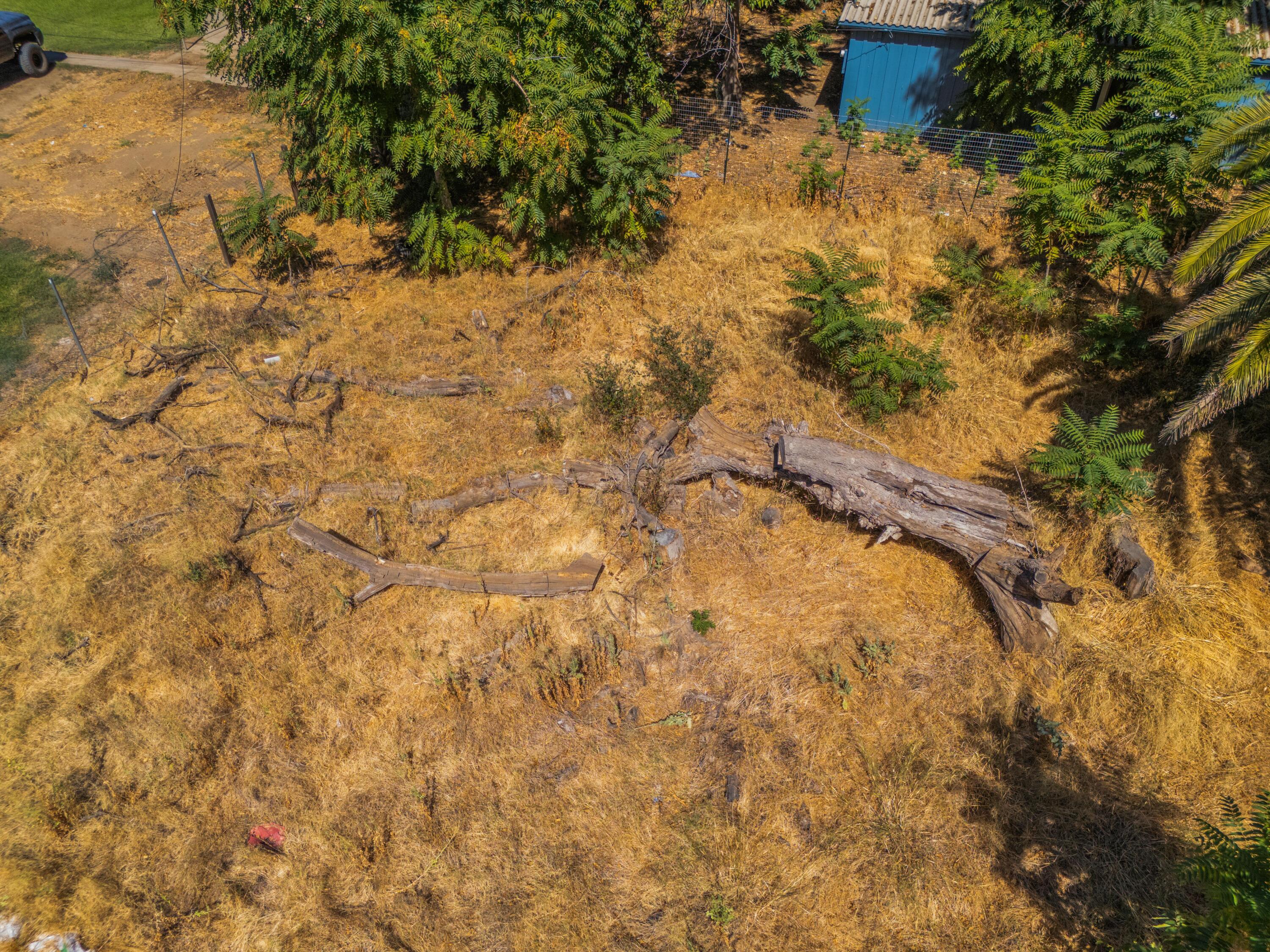 210 Gilmore Road Red Bluff, CA 96080 - Photo 8 of 21 IMG-08