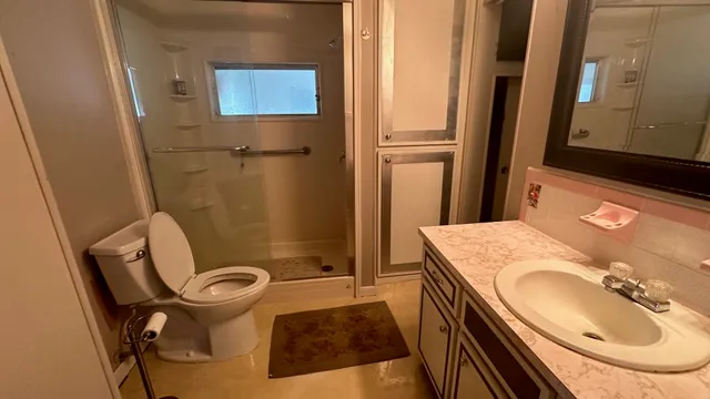 a bathroom with a sink a toilet and a mirror