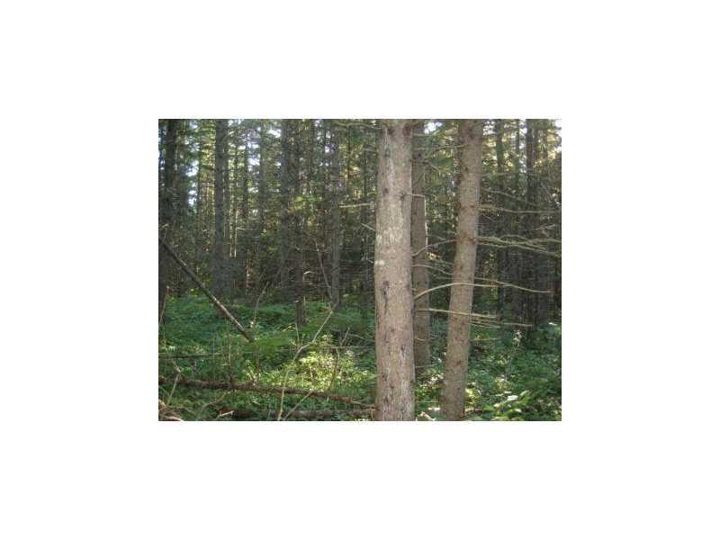 7 Lishness Road Stratton, ME 04982 - Photo 2 of 3 Land.