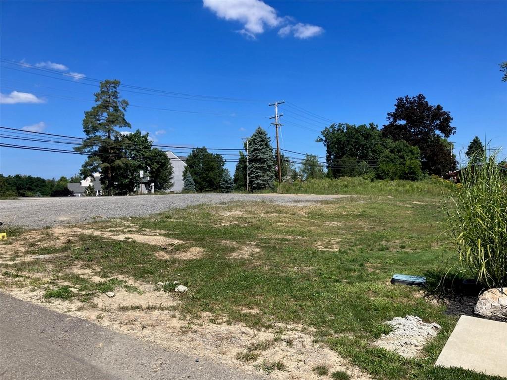 a view of a field with an ocean