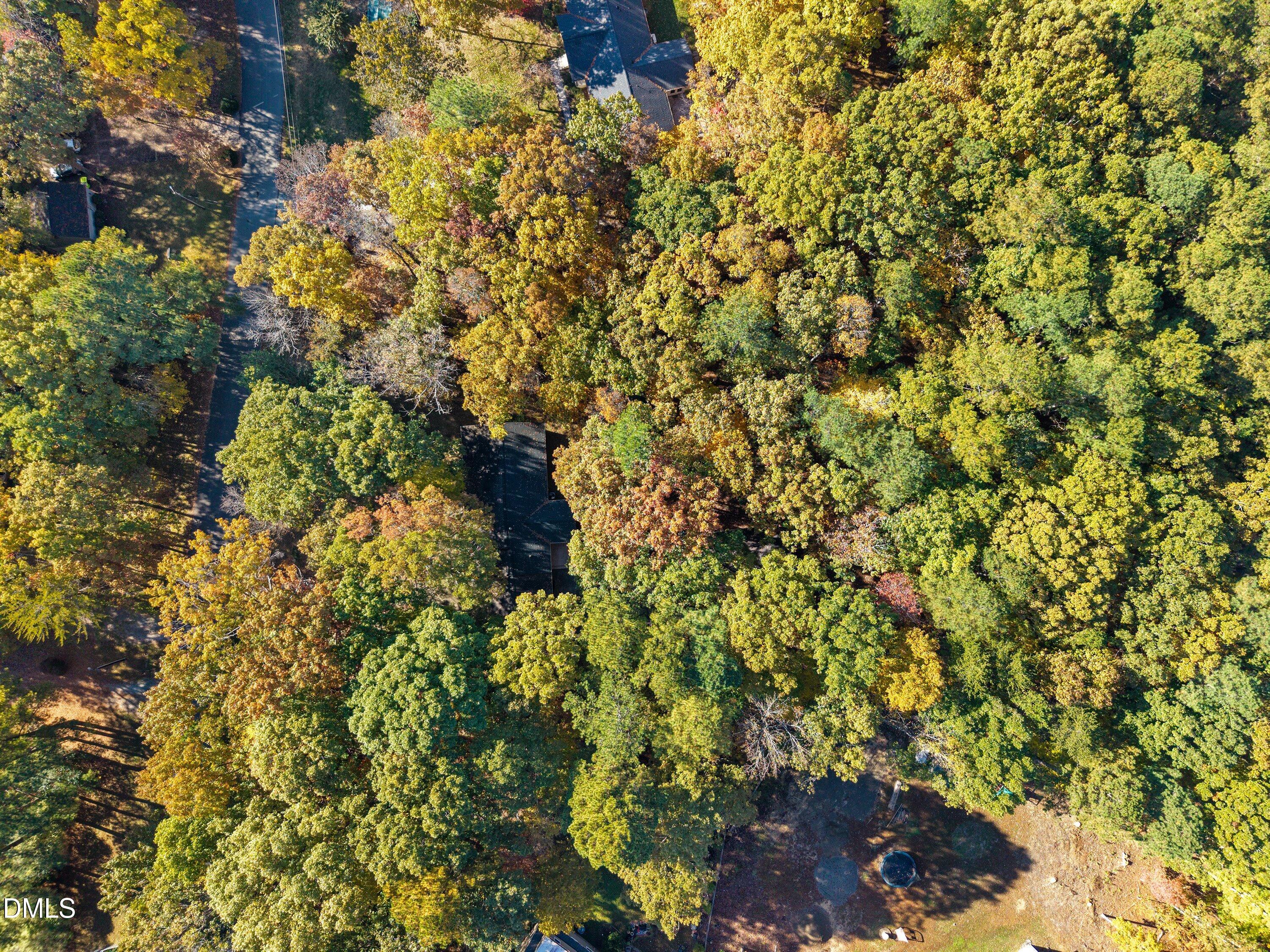 5917 Scalybark Road Durham, NC 27712 - Photo 46 of 47 53-5917 Scalybark _ (9)