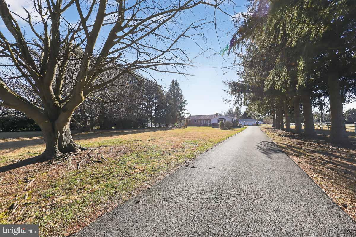 224 Blake Road Elkton, MD 21921 - Photo 49 of 55 a view of yard covered with snow in front of house