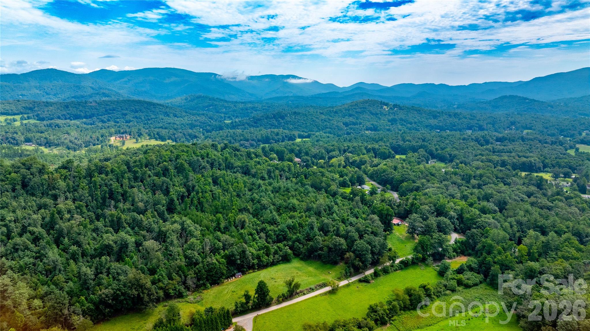 99999 Bob Barnwell Road Fletcher, NC 28732 - Photo 9 of 29 Gallery Image 9