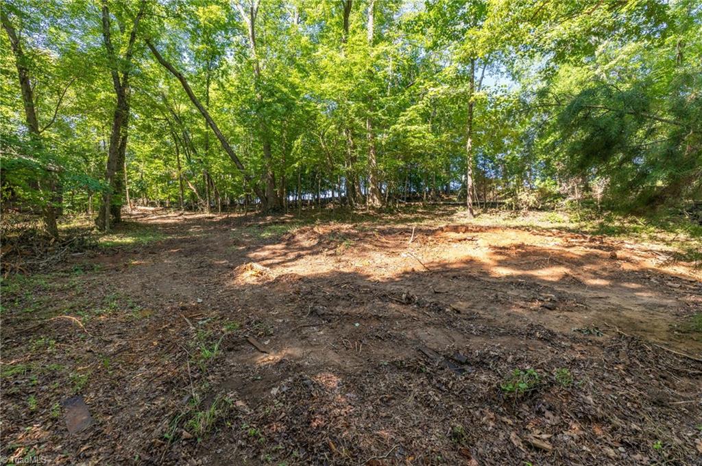 7289 Plunkett Road Stokesdale, NC 27357 - Photo 4 of 27 Flat areas with woods for buffer