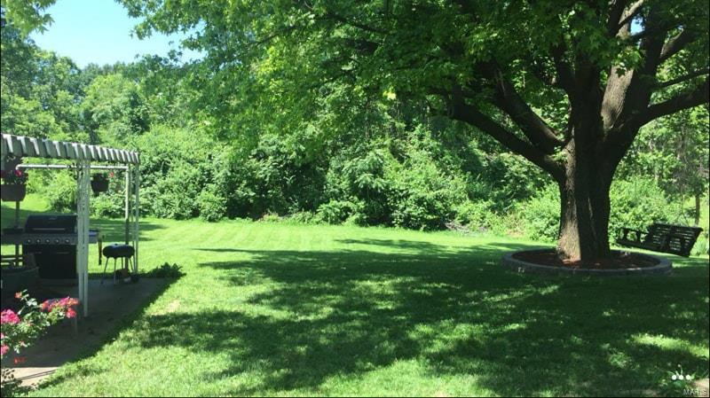 313 Old Fullerton Road Swansea, IL 62226 - Photo 12 of 19