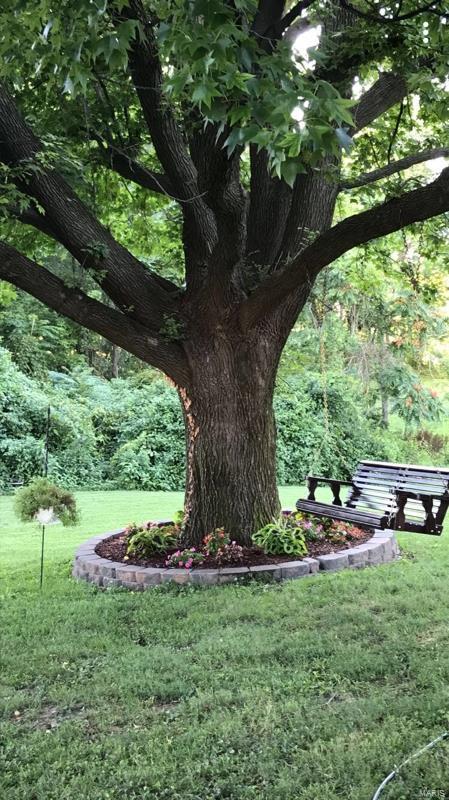 313 Old Fullerton Road Swansea, IL 62226 - Photo 13 of 19