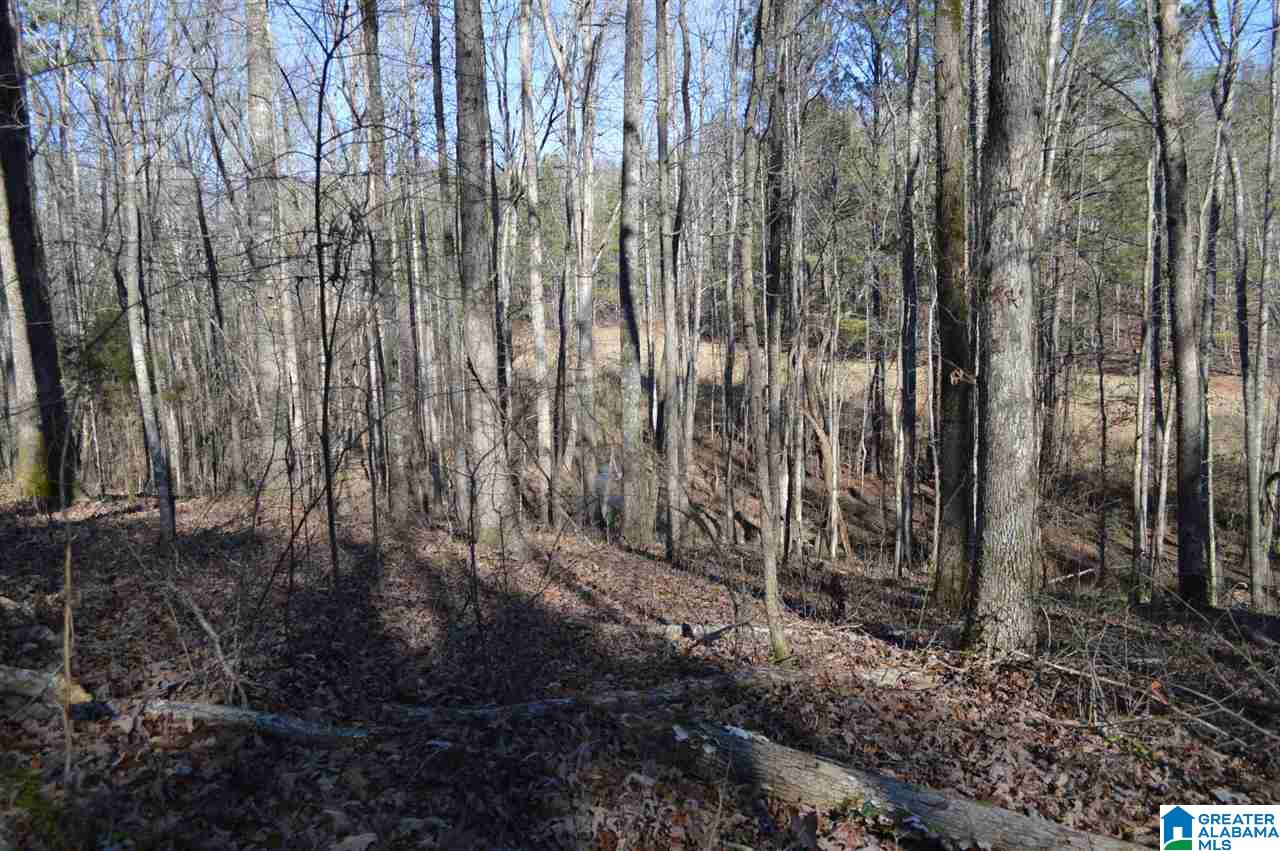 1900 Sanie Road Odenville, AL 35120 - Photo 36 of 48