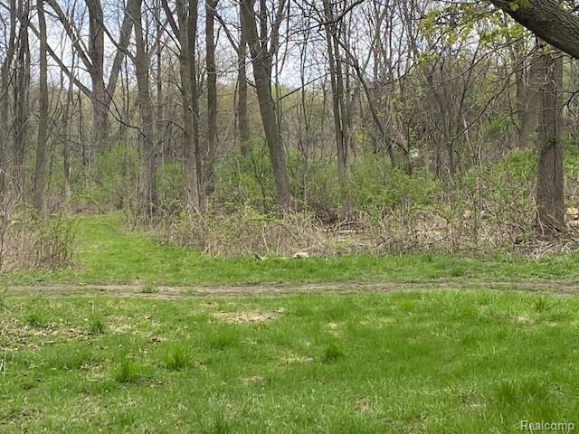 Parcel A South Center Road Burton, MI 48519 - Photo 5 of 5