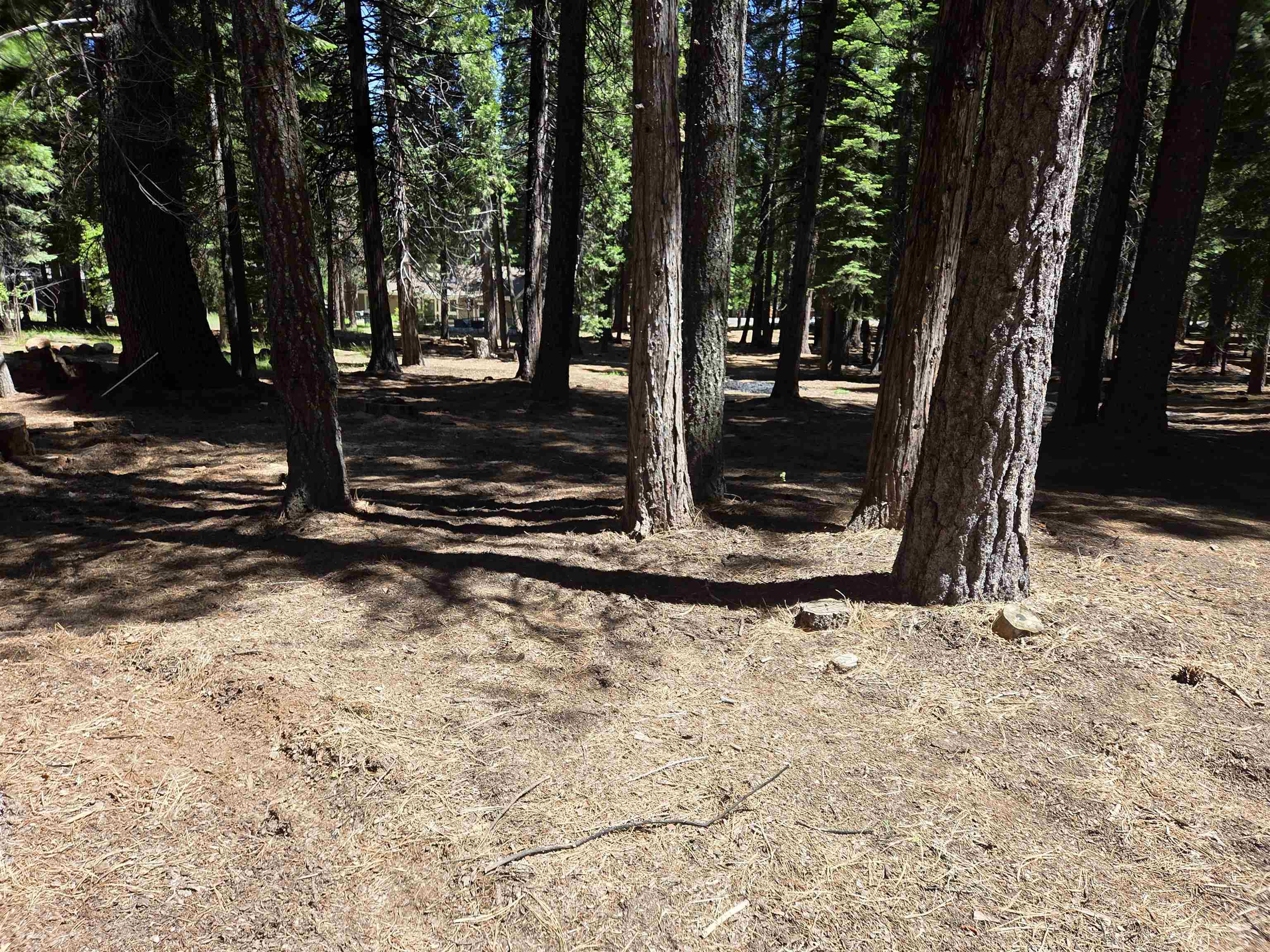 307 Racoon Trail Lake Almanor West, CA 96020 - Photo 9 of 9