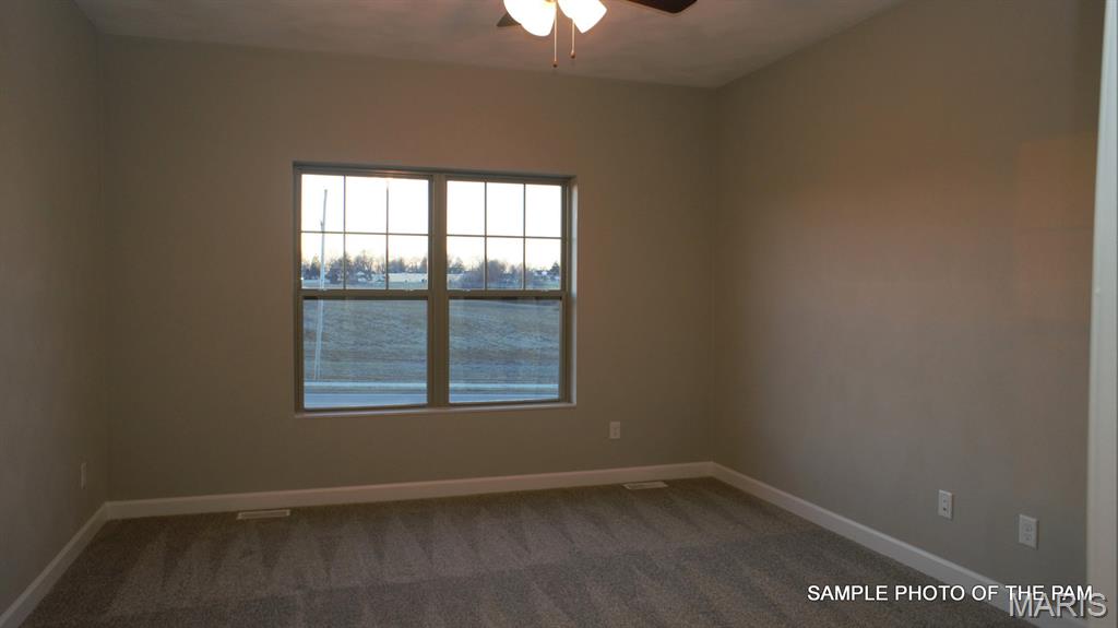 477 Hayden Drive Waterloo, IL 62298 - Photo 20 of 42