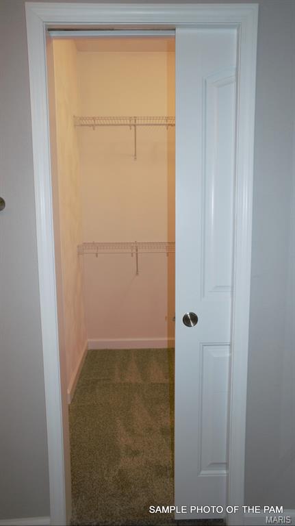 477 Hayden Drive Waterloo, IL 62298 - Photo 26 of 42