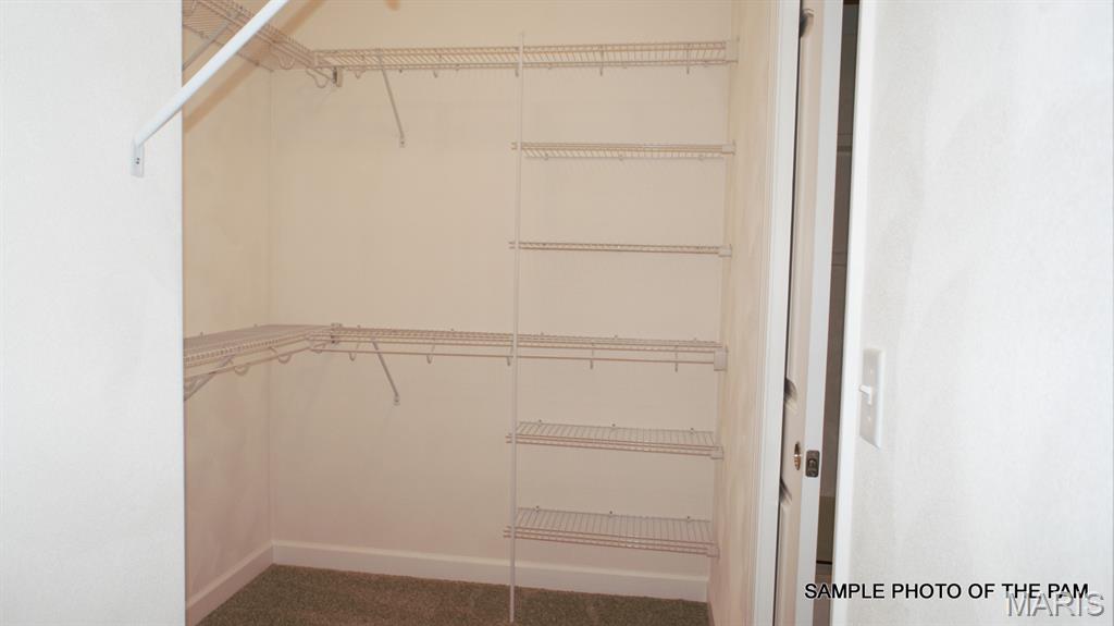 477 Hayden Drive Waterloo, IL 62298 - Photo 27 of 42