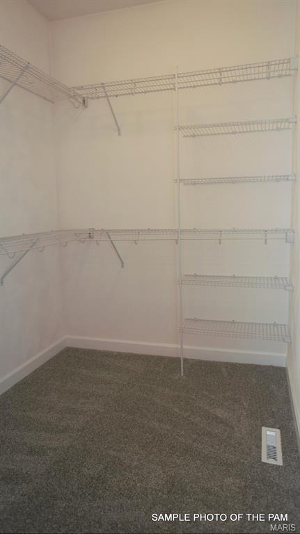 477 Hayden Drive Waterloo, IL 62298 - Photo 28 of 42