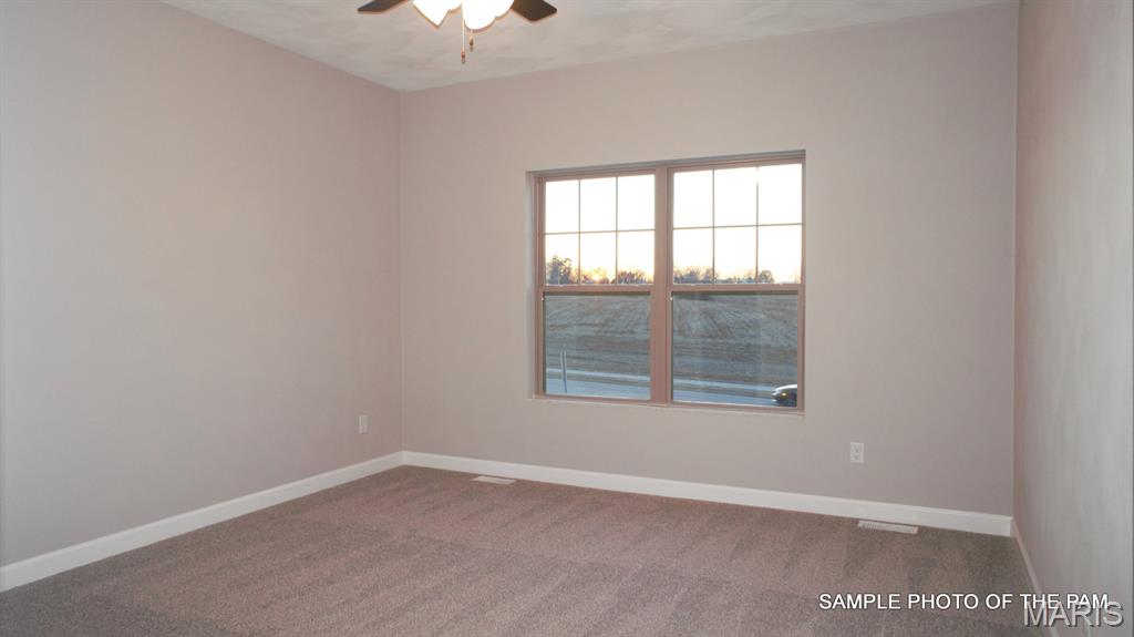 477 Hayden Drive Waterloo, IL 62298 - Photo 30 of 42