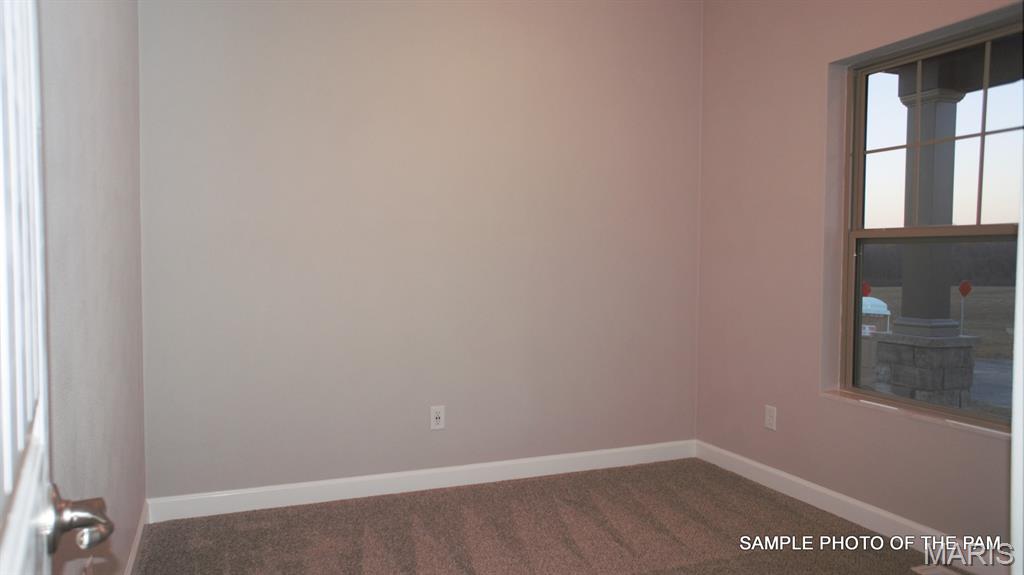 477 Hayden Drive Waterloo, IL 62298 - Photo 38 of 42