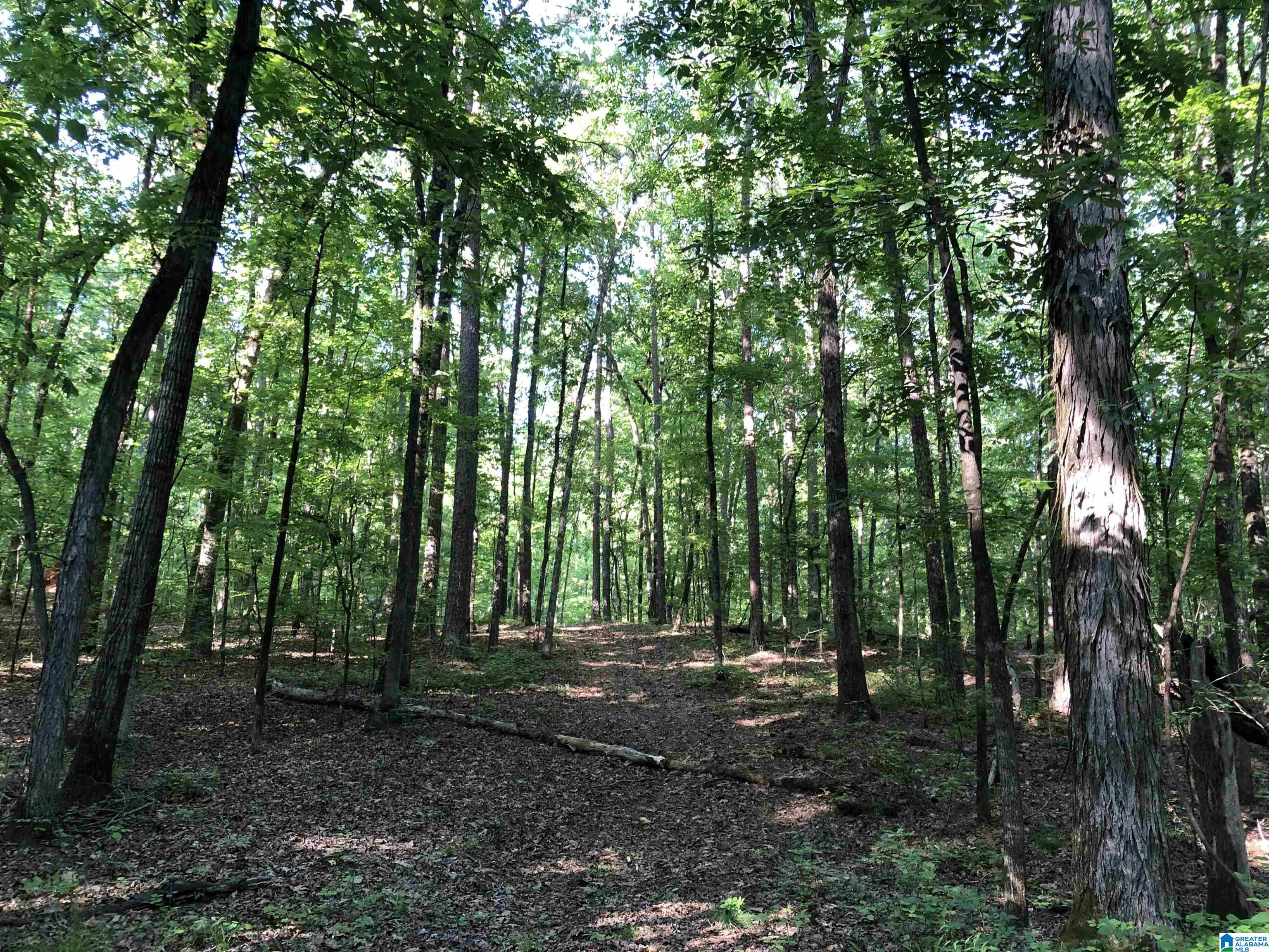 61 Copper Road Columbiana, AL 35051 - Photo 14 of 15