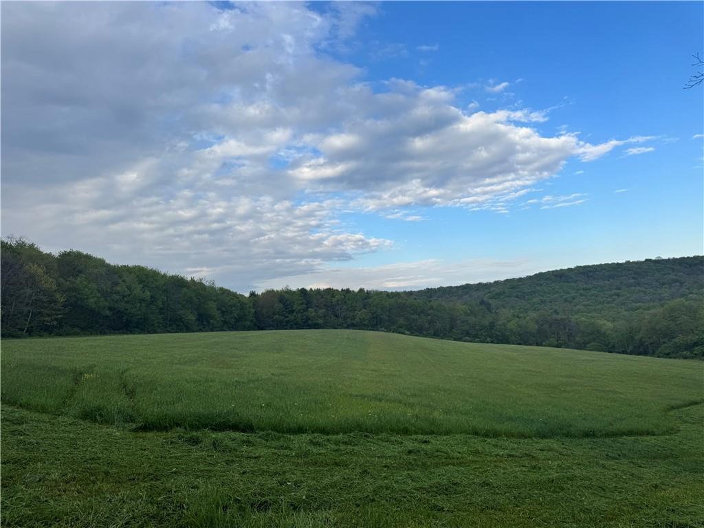 0 Grove Road Stoystown, PA 15563 - Photo 12 of 34