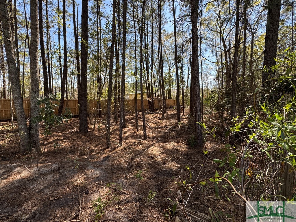 129 Linton Lane Guyton, GA 31312 - Photo 18 of 21 7 Chickens enjoy this large fenced plantation..not