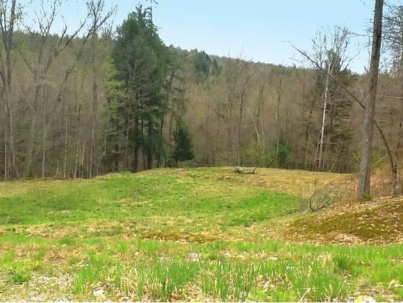 567 South Pinnacle Ridge Road Waterbury, VT 05676 - Photo 1 of 1 Gallery Image 1