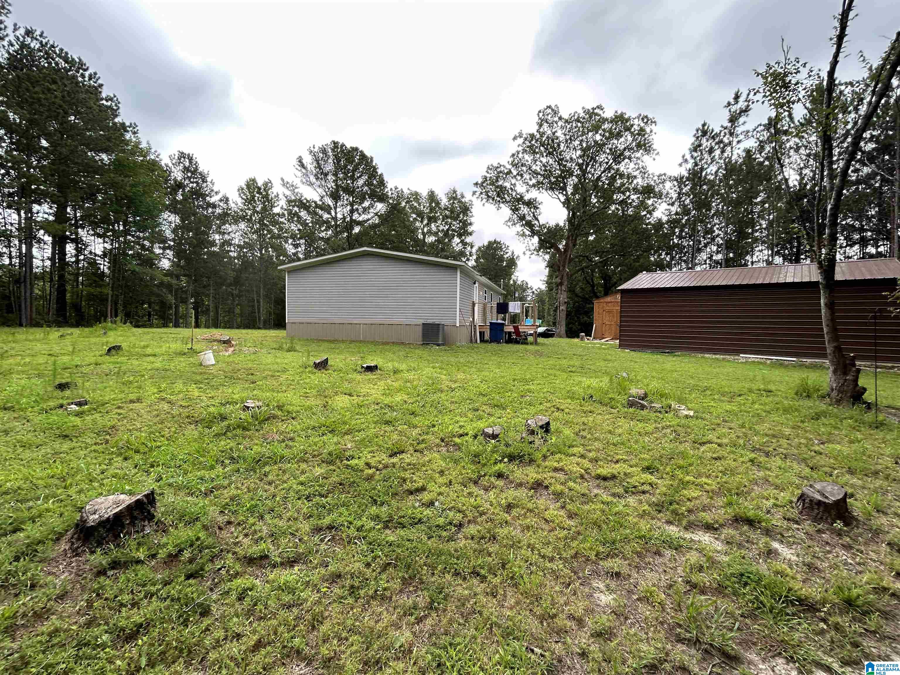 3553 New Liberty Road Wellington, AL 36279 - Photo 6 of 13