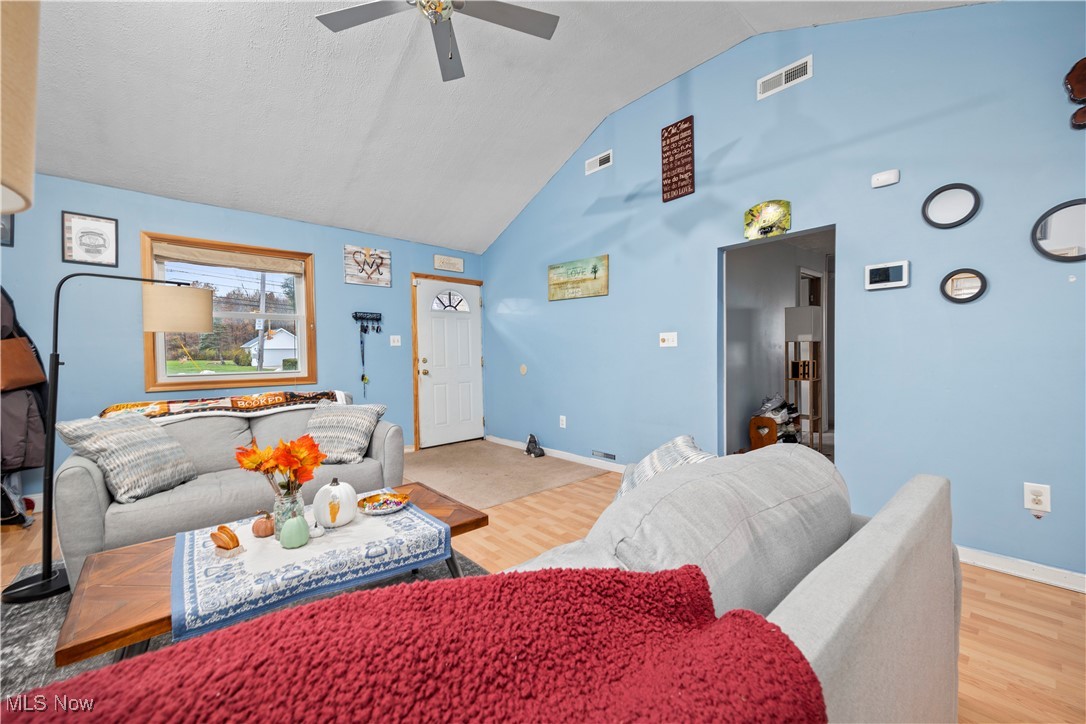 5569 Lear Nagle Road North Ridgeville, OH 44039 - Photo 8 of 41 Living room featuring light hardwood / wood-style floors, lofted ceiling, and ceiling fan