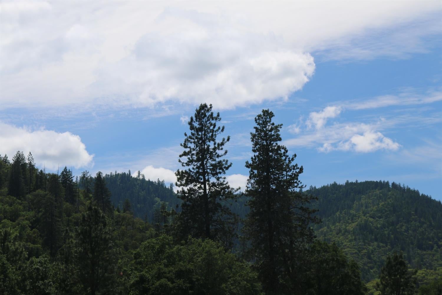6901 Old Stage Road, Unit 15 Central Point, OR 97502 - Photo 10 of 14 Additional Photo